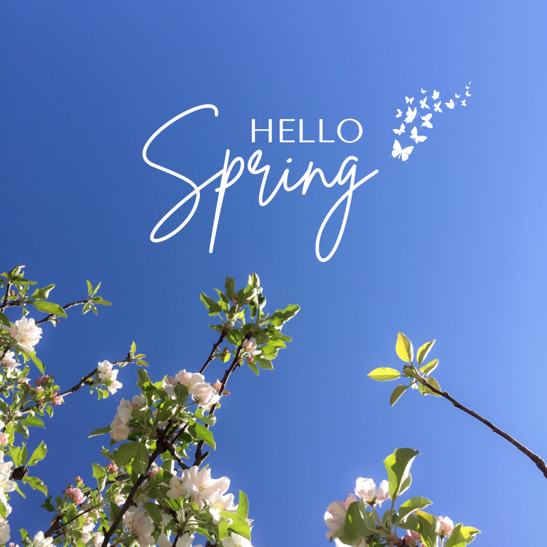 hello-spring